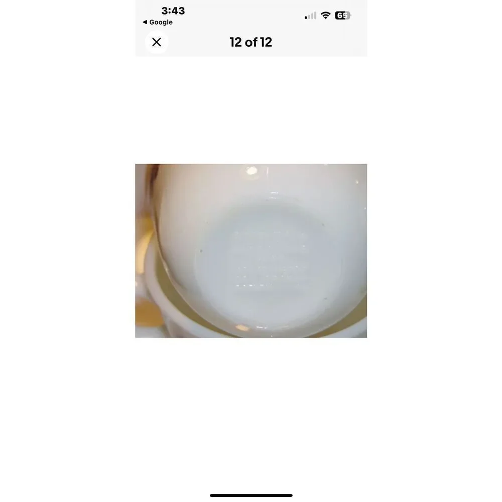 Pyrex set spring